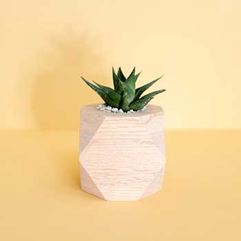 自动发货渠道的ddos工具下载